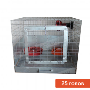 Брудер для цыплят Лайт