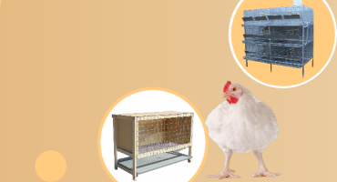 Портал «Подворье» акция: Распродажа клеток для кур и бройлеров!